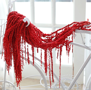 Compre Amaranto Preservado al por Mayor de China: Perfecto para Decoración de Paredes, Decoración del Hogar de Lujo <span class=keywords><strong>y</strong></span> Decoraciones de Ramadán - Product Image 2