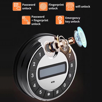 CEQSAFE Coffre-fort numérique intelligent TUYA APP WIFI, serrure électronique numérique robuste, certifié UL94/CE/FCC, porte en acier de 10 mm, sécurité domestique