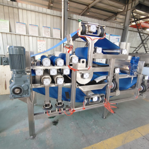 Presse à jus de pomme industrielle à bande transporteuse/Extracteur de jus de type bande transporteuse - Product Image 2