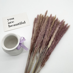 Vente chaude Naturel Séchées Pampas Herbe Lapin <span class=keywords><strong>Queue</strong></span> Pour La Décoration - Product Image 5