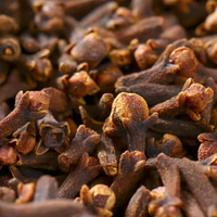 Clous de Girofle Entiers Allongés Naturels Séchés – Prix de Gros pour Transformation Alimentaire, Fournisseur d'Épices Brutes