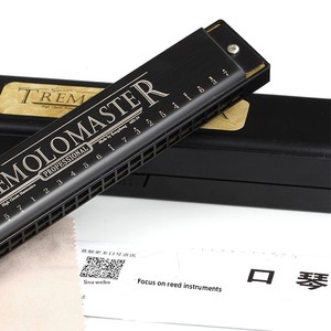Ventas directas de fábrica Cuerpo de aluminio de 24 agujeros C-Major Diatonic Eco-Friendly Gold Finish Harmonica para estudiantes Principiantes Adultos - Product Image 2