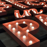 Enseigne lumineuse vintage à LED en forme de lettre, personnalisée, rétro, rétroéclairée, en acier inoxydable, étanche IP65, pour publicité, parcs et décoration commerciale
