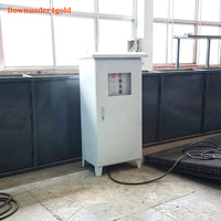 Installation de Lavage d'Or Portable Modulaire 100 Tonnes/Heure avec Conception Anti-Blocage pour l'Or des Rivières et l'Or des Sols