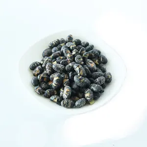 Crispy roasted healthy Chinese soybean black beans snacks