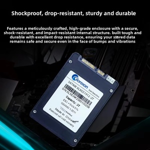 Glorexon Nuovo Disco a Stato Solido Interno SATA 3.0 da 128GB-2TB 2.5" per Laptop con Velocità di Lettura 400MB/s e Scrittura 500MB/s - Product Image 3