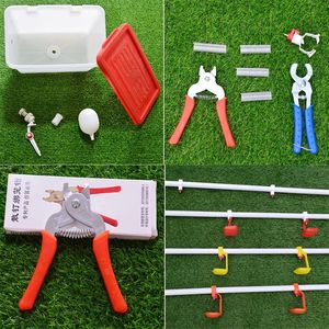 <span class=keywords><strong>Cage</strong></span> de batterie pour poules pondeuses à 4 niveaux 96/128 Poulets pondant des œufs Ferme avicole <span class=keywords><strong>Cage</strong></span> de poules pondeuses en Afrique du Sud - Product Image 4