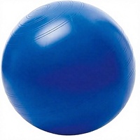 Ballon de yoga anti-explosion de haute qualité MJD-WG147-55, en PVC épais, résistant à la pression et aux explosions