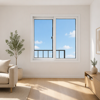 Ventana Corredera de PVC con Aislamiento Térmico de Grado Renovación para Apartamentos, Vidrio con Recubrimiento Low-E, Suministro de Fábrica con Certificación ISO9001