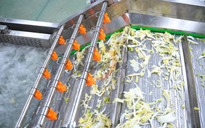 <span class=keywords><strong>Machine</strong></span> industrielle de découpe de chips de chicorée et de plantain, <span class=keywords><strong>machine</strong></span> de lavage et de pelage de pommes de terre, nettoyeur de légumes, ligne de découpe de légumes - Product Image 4