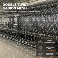 Caisse de gabion galvanisée à chaud conforme à la norme GOST, cage de gabion hexagonale pour la protection des rives des rivières en génie hydraulique en Russie
