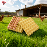 Barquettes à œufs jetables biodégradables et écologiques, 30 alvéoles, en pulpe, personnalisables, pour œufs de poule, avec conception étanche