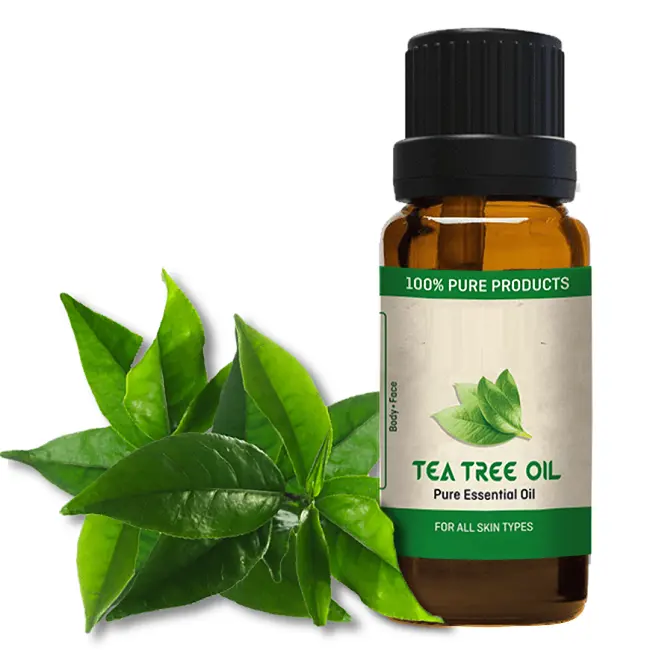 Produttore di olio essenziale di Tea Tree biologico in India/olio di Tea Tree da 10ml