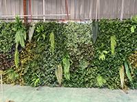 Mur végétal artificiel en plastique, design arbre vert, pour décoration murale suspendue du Nouvel An chinois, de la remise des diplômes et de Thanksgiving, pour la maison