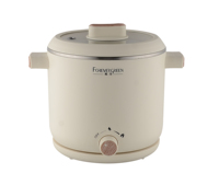 Appareils électroménagers, bouilloire électrique multifonction, marmite de cuisson électrique, cuiseur à œufs, cuiseur à légumes et à riz