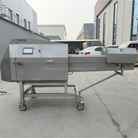 Precisie groente- en fruitsnijmachine 3KW motor 304 roestvrij staal hoge capaciteit (3000-5000KG/H) voor commerciële voedselverwerking