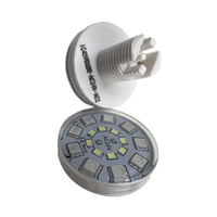 Lumière Cabochon LED RGBW Automatique 24V 45mm E14 Chameleon du Fabricant d'Origine en Matériau PC pour Parcs d'Attractions et Grande Roue