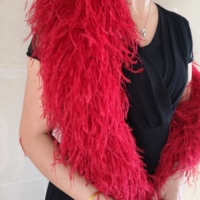 Boas en plumes d'autruche artificielles de haute qualité en gros, accessoires de vêtement, plumes d'autruche pour accessoires de robe DIY, carnaval