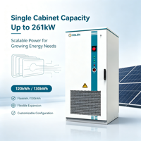 Gabinete de Almacenamiento de Energía para Exteriores con Sistema de Refrigeración Líquida PACK Level, Deshumidificación Inteligente y Ahorro de Espacio en el Piso