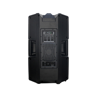 ART815DSP500 Haut-parleur actif en plastique de 15 pouces, classe D, DSP bi-amplifié, 500 W RMS, 2000 W max, Bluetooth TWS, haut-parleur de scène professionnel PA