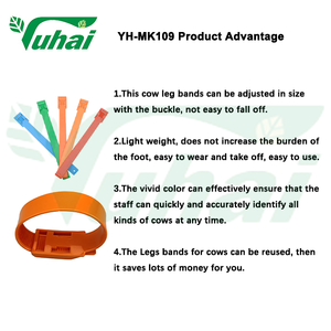 ईवा के लिए रंगीन legband गाय या घोड़े या मवेशी - Product Image 3