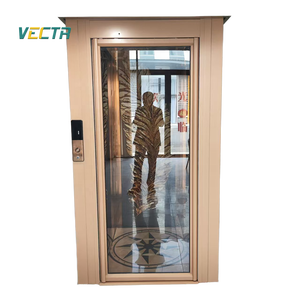 Ascensori Domestici Moderni di Piccole Dimensioni con Qualità Superiore, Asse Cielo-Terra, Porta Azionata Manualmente, Ultimo Stile - Product Image 4