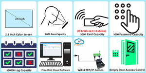 Sistema di gestione elettronica dell'orologio elettronico del tempo e del sistema di presenza del Web Cloud WiFi - Product Image 5