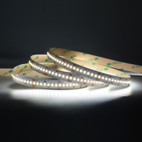Bande LED CCT à haute densité avec garantie de 6 ans, SMD2216, blanc réglable, 24V, CRI élevé Ra95, spectre complet, bande LED CCT 2216