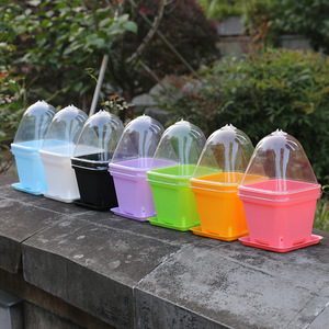 Gran oferta, suministros de jardín, maceta de plástico para vivero, maceta cuadrada para plántulas con tapas de cúpula de plástico transparente - Product Image 6