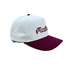Casquettes de camionneur en coton structuré à 5 panneaux de haute qualité personnalisées, logo brodé en 3D, casquettes de camionneur à fermeture à pression - Product Image 1