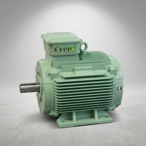 Générateur synchrone à aimants permanents (PMSG) pour les centrales éoliennes et hydroélectriques - Product Image 1
