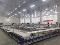 Automatische vleesverwerkings- en snijlijn van roestvrij staal voor het portioneren van vlees in voedingsmiddelenfabrieken