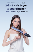 Multi Styler 2 en 1 Airstyler Wet to Dry Plancha Cabello Airflow Blower Dryer Flat Iron Hair Straightener