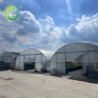 Serre tunnel agricole monopente à vendre, serre tunnel agricole commerciale pour plantes