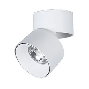 Neuf de Haute Qualité Hôtel 25W LED Spots Rotatif COB Surface Monté 30W Led Downlight pour Éclairage Intérieur Cuisine Plafond