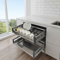 Organizador de Gavetas Retrátil de Alumínio com 2 Níveis para Pratos, Prateleira de Cozinha que Economiza Espaço, Sem Furos, para Utensílios e Tigelas