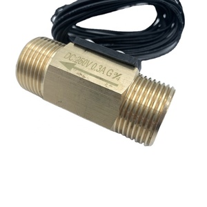 G3/4 英寸黄铜水流开关 磁簧开关 用于加热器液体系统 - Product Image 2