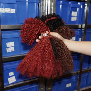 Мягкие и толстые Роскошные кудрявые человеческие волосы 100% Необработанные текстуры 4c дешевые афро кудрявые объемные человеческие волосы для реселлера/стилиста - Product Image 1