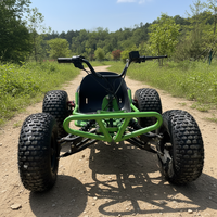 Kart électrique de qualité commerciale pour parcs d'attractions, 1800W, pneus de 10 pouces, capacité de charge de 200 kg, kart électrique tout-terrain pour course en extérieur