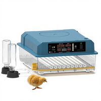 Nouvel incubateur d'œufs automatique miniature pour usage domestique, design transparent, taux d'éclosion élevé, double alimentation, pour l'éducation des enfants, petite échelle