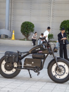 Patinete Eléctrico de Dos Ruedas Feiwo HL de Alto Rendimiento con Batería de Litio Sin Escobillas, Motor de 3000W, 60Ah y 120km de Autonomía, de Aluminio HL - Product Image 3