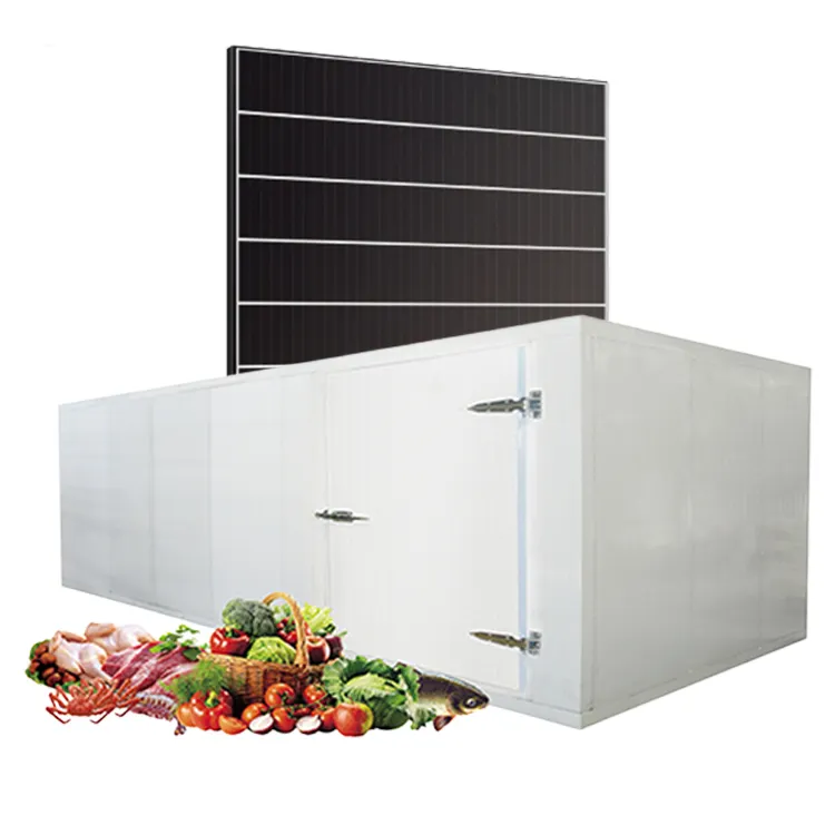Năng lượng mặt trời phòng lạnh giá lạnh lưu trữ phòng container phòng lạnh cho hải sản nhà máy