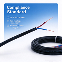 Câble d'alimentation professionnel flexible à 2 conducteurs 0,5 mm² en cuivre sans oxygène RVV, isolation HDPE, ignifuge PVC