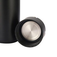 Bouteilles d'eau isothermes en acier inoxydable à double paroi sans BPA de 500 ml et 750 ml avec couvercles