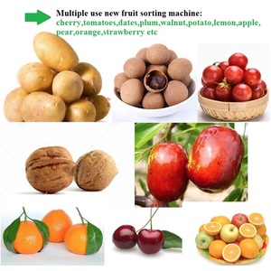 Machine à limer la taille de l'ail, pour trier les pommes de terre, les tomates, les jujpes, 2020 - Product Image 6