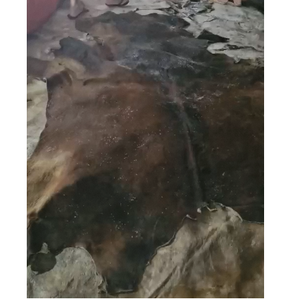 Reliable Supply Double Faced Wet Salted Buffalo Hides and Cowhides <b>Raw</b> <b>Skins</b> for Global Leather Tanning Operations - Product Image 2