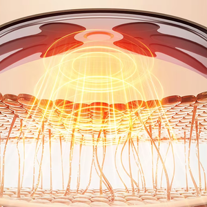 Máquina Vibratoria Profesional para Quemar Grasa, <span class=keywords><strong>Masajeador</strong></span> Corporal de 20 Velocidades, Correas Ajustables, <span class=keywords><strong>Masajeador</strong></span> de Cintura para Fitness en Casa - Product Image 6