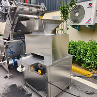Commerciële Industriële Citruspers Extractor Voor Passievrucht, Citroen, Calamansi En Sinaasappel-Koude Pers Sapmachine