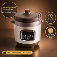 Marmite Électrique en Céramique à Grande Capacité avec Isolation Thermique Spéciale pour Cuisine, Grande Puissance, Durable, pour la Cuisson de Soupes et de Congé