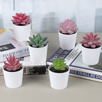 Mini plante succulente artificielle en pot, fleur en PVC givré, style pierre précieuse, bonsaï écologique et durable pour mariage, Noël, Nouvel An